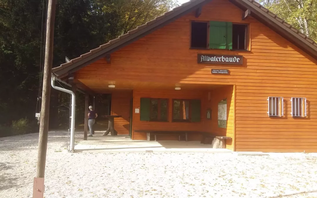 Waldgeflüster – der Brainstorming Workshop